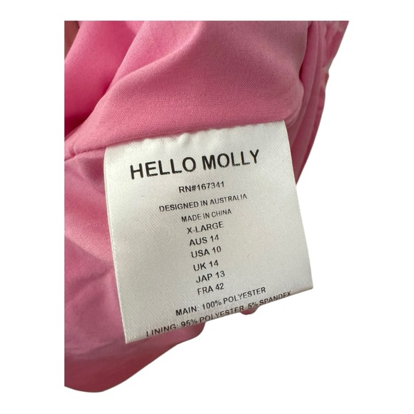 HELLO MOLLY | NWT Fleur Fantasia Maxi Dress in Pink, Size XL - Picture 11 of 13